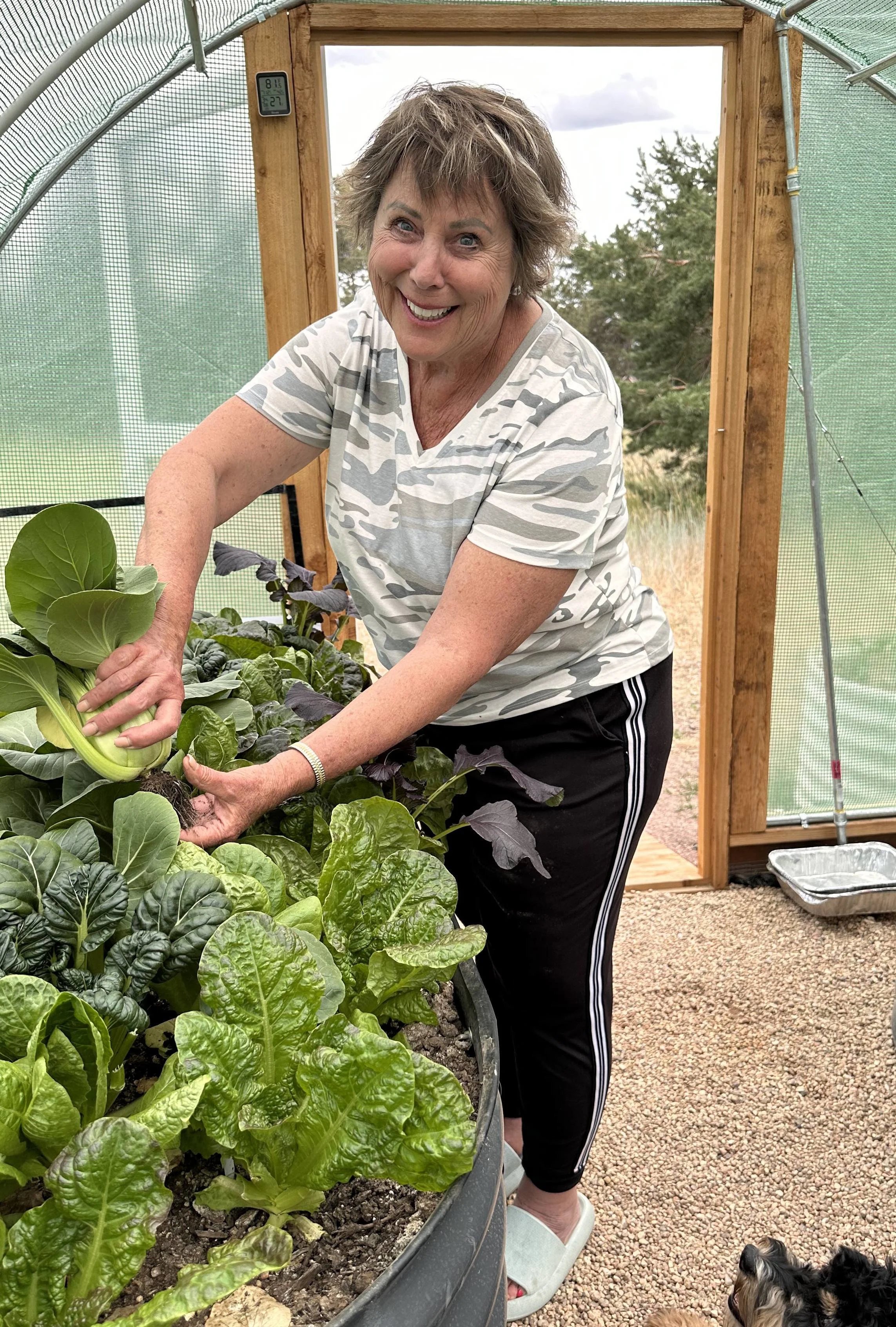 Pat O v testimonial respiras breathing